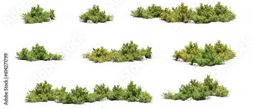 Fotografiet set of bushes photorealistic 3D rendering with transparent background, for illus