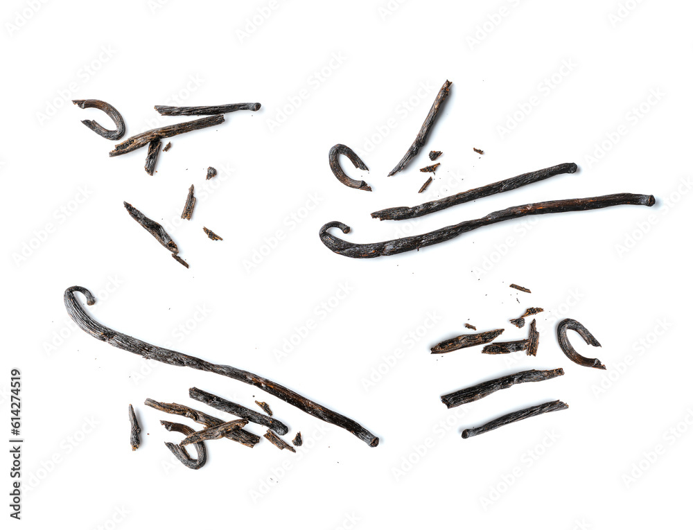 Vanilla Pod Isolated, Orchid Bean Sticks, Dry Vanillin Pods, Natural Vanilla Stick on White Background Vanilla Pod Isolated, Orchid Bean Sticks, Dry Vanillin Pods, Natural Vanilla Stick on White Background