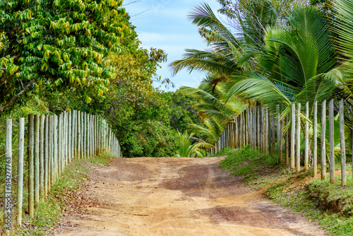 Dirt road through the rural area of Serra Grande in Bahia with farm fences alongside
