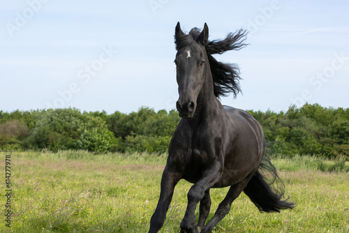 Fotografie Wilder Friese