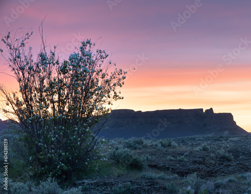 Dawn Desert Sunrise
