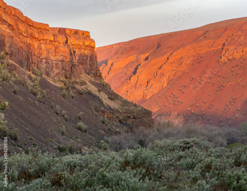 Dawn Desert Sunrise