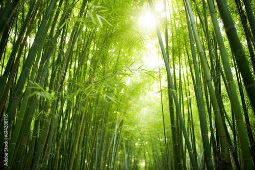green bamboo forest with AI-Generated Images.