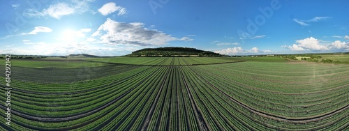 water sprinkler irrigation system, Farming field with irigation siststems,aerial panorama landscape view
