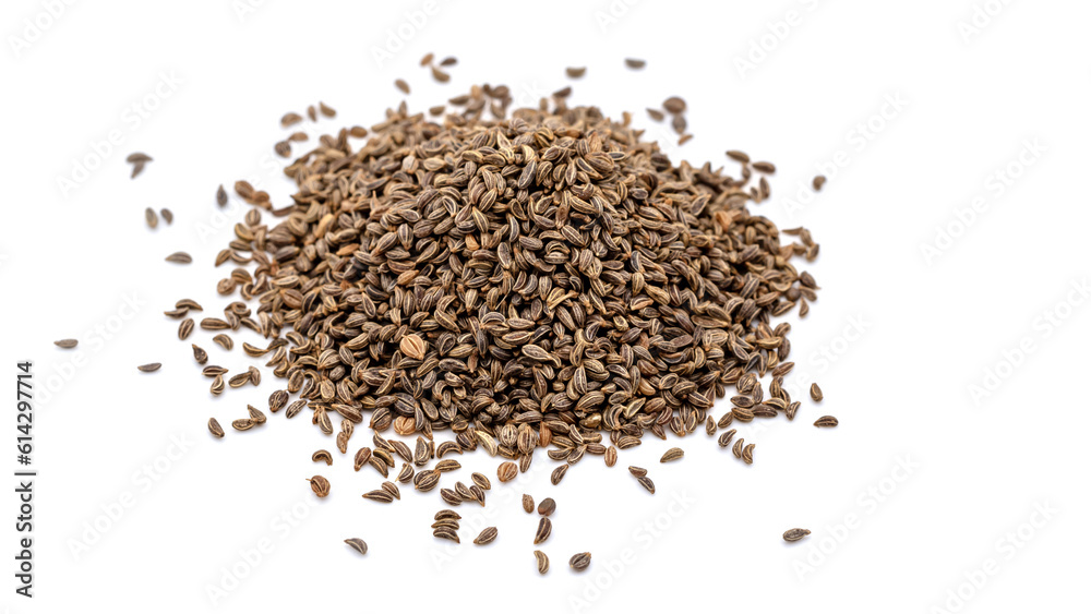 heap of natural Giant Parsley seeds of Naples isolated on white background,macro close-up heap of natural Giant Parsley seeds of Naples isolated on white background,macro close-up