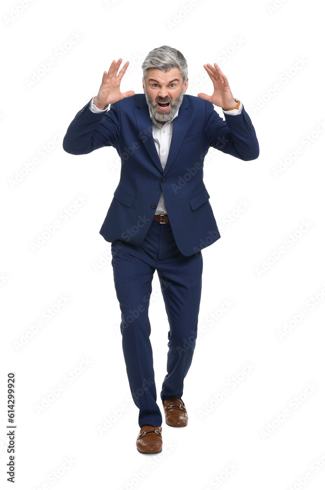Mature businessman in stylish clothes posing on white background Mature businessman in stylish clothes posing on white background