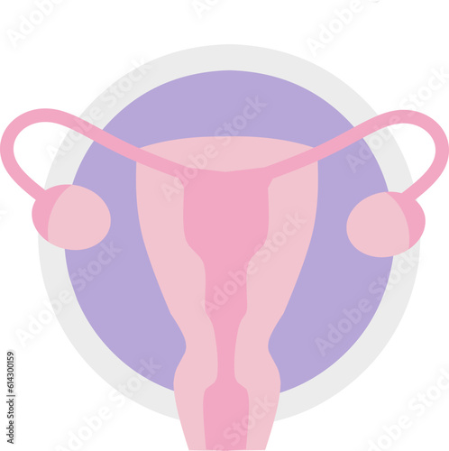 Uterus vector illustration. Perfect for presenting anything about reproduction, insemination or ivf.