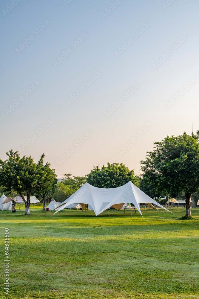 Tents on the Camping Grassland in the Morning Park