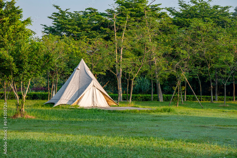 Tents on the Camping Grassland in the Morning Park