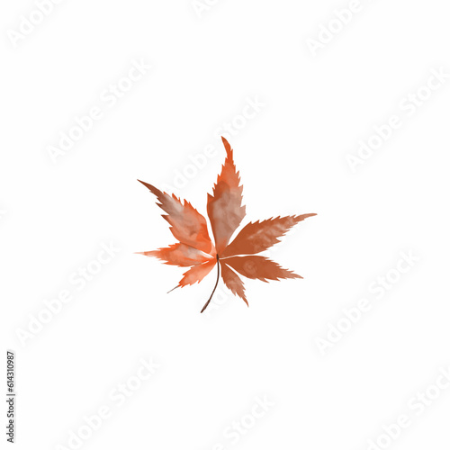 watercolor red maple leaf vector design