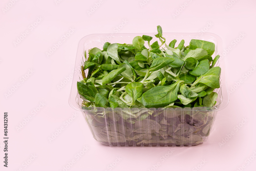 mini spinach in a plastic container, supermarket product, copy space mini spinach in a plastic container, supermarket product, copy space