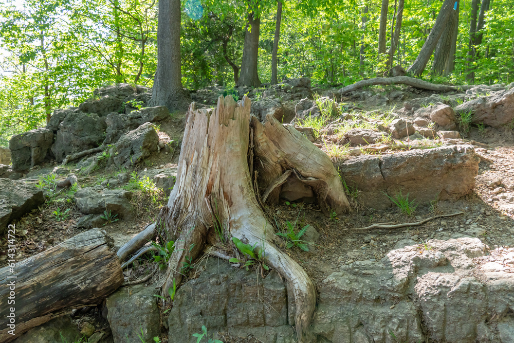 Rattlesnake Point Conservation Area. Home to a unique ecosystem with unique geological and ecological features, sheer limestone cliffs, crevice caves, talus slopes, and glacial deposits. Rattlesnake Point Conservation Area. Home to a unique ecosystem with unique geological and ecological features, sheer limestone cliffs, crevice caves, talus slopes, and glacial deposits.