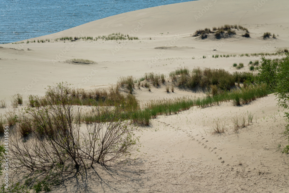 View of Staroderevenskaya dune from the height of Efa (Walnut Dune) and the Baltic Sea in the background on a sunny summer day, Curonian Spit, Kaliningrad region, Russia View of Staroderevenskaya dune from the height of Efa (Walnut Dune) and the Baltic Sea in the background on a sunny summer day, Curonian Spit, Kaliningrad region, Russia
