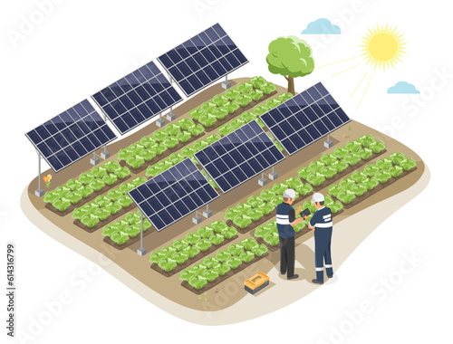 Smart Solar Farming with agriculture system solar panels between vegetable  fram area ecology  isometric isolated cartoon vector