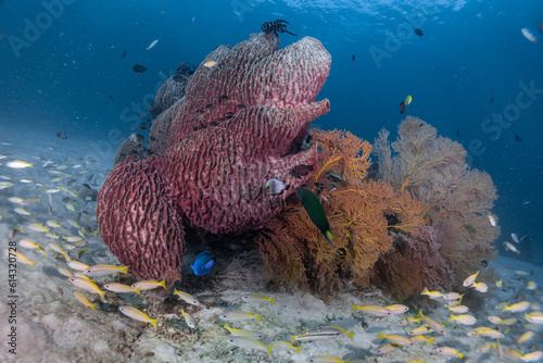 Bild auf Leinwand Talang Stonehenge Lipe Satun Thailand