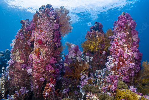 Foto Talang Stonehenge Lipe Satun Thailand