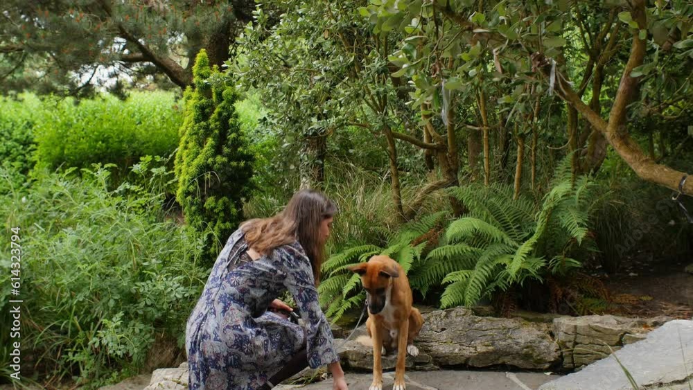Young woman in summer dress trains dog with a treat in a beautiful garden. Dog sits and lays down, showcasing obedience progress. Young woman in summer dress trains dog with a treat in a beautiful garden. Dog sits and lays down, showcasing obedience progress.