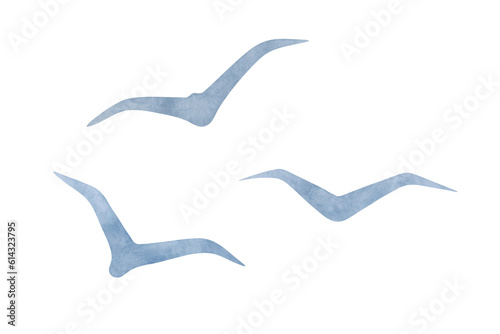 A set of flying birds, gray-blue gulls, painted in watercolor on paper, isolated on a white background. Element for design and decoration. Drawn by hand. Sea birds.