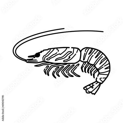 エビのイラスト（線画）