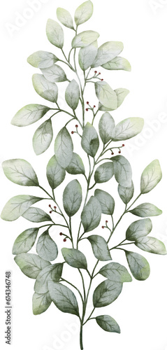 Watercolor Green Leaves Element