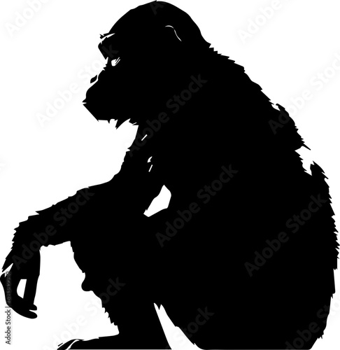 silhuette monkey animal images