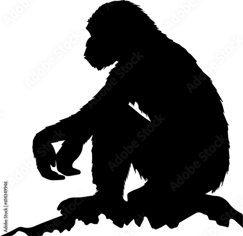silhuette monkey animal images