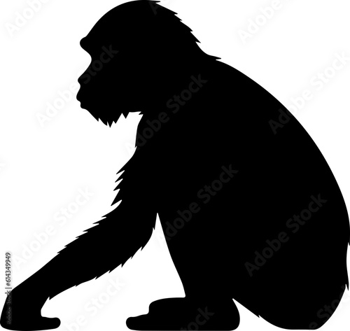 silhuette monkey animal images