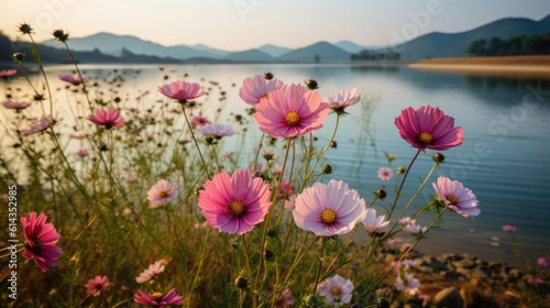 A beautiful summer field of pink cosmos flowers by the lake, natural sunlight, and a bright summer sky background. Generative AI © itchaznong