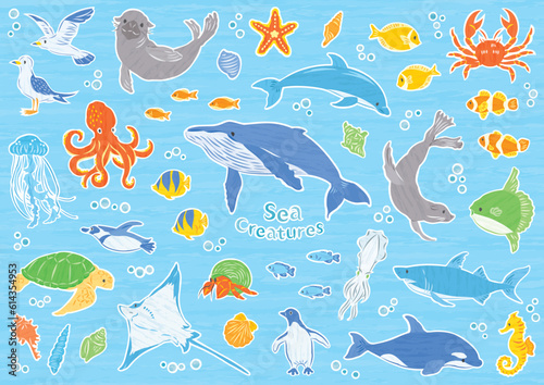 海の生き物　イラストセット