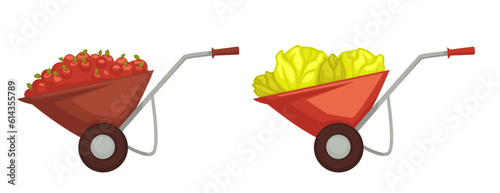 Harvesting on farm cabbage and tomatoes in cart