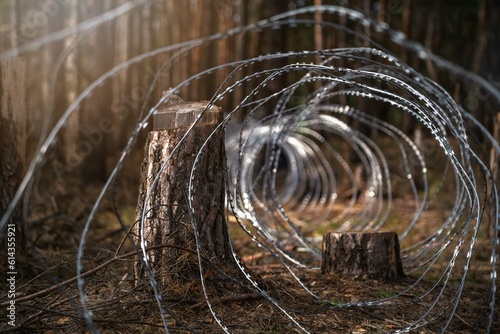 Obraz na płótnie .Border wire fence trough pine forest. protecting the state's border from illegal migration and russian invasion. defending and regaining occupied territory . w salonie