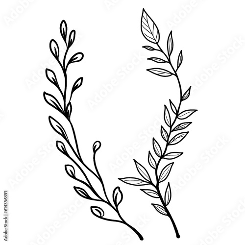 Leaves and herbs outline illustration on white background 