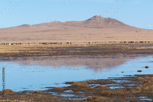 Landscape of Hugnu-Tarna National Park, Central Mongolia