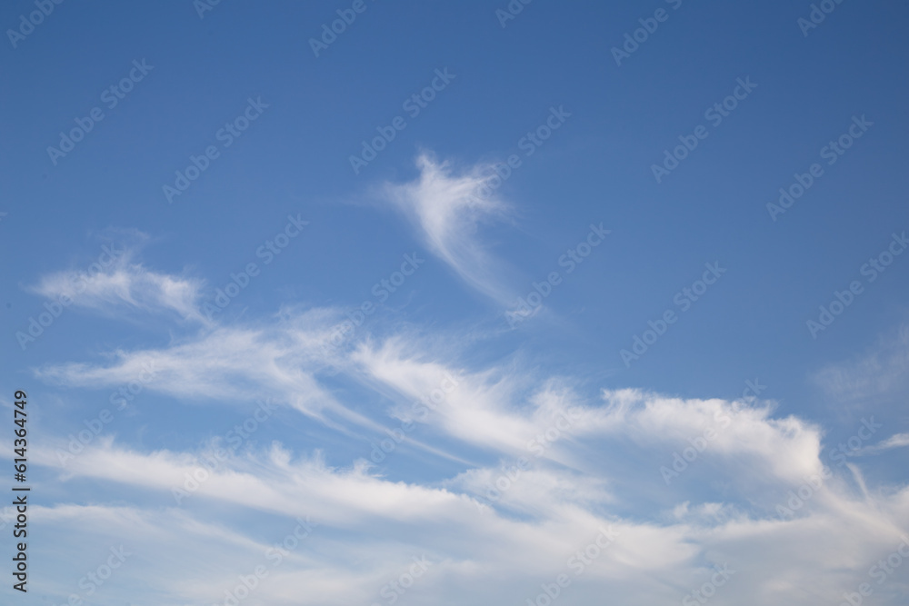 冬の青空に白い雲