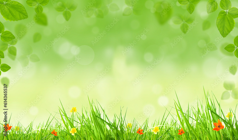 Obraz premium spring background with grass and flowers