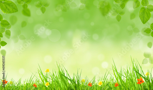 spring background with grass and flowers
