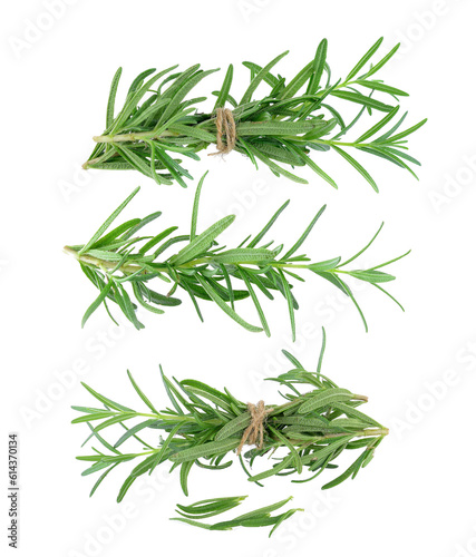 rosemary on transparent png