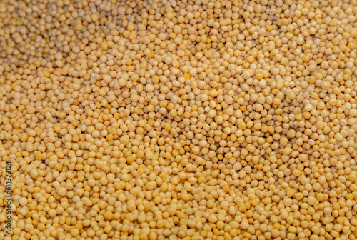Yellow mustard seeds sold at a spices shop