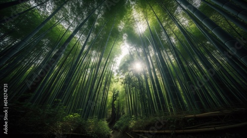 A zen bamboo forest  the towering green stalks creating a calming canopy overhead  with sunlight filtering through . Generative AI