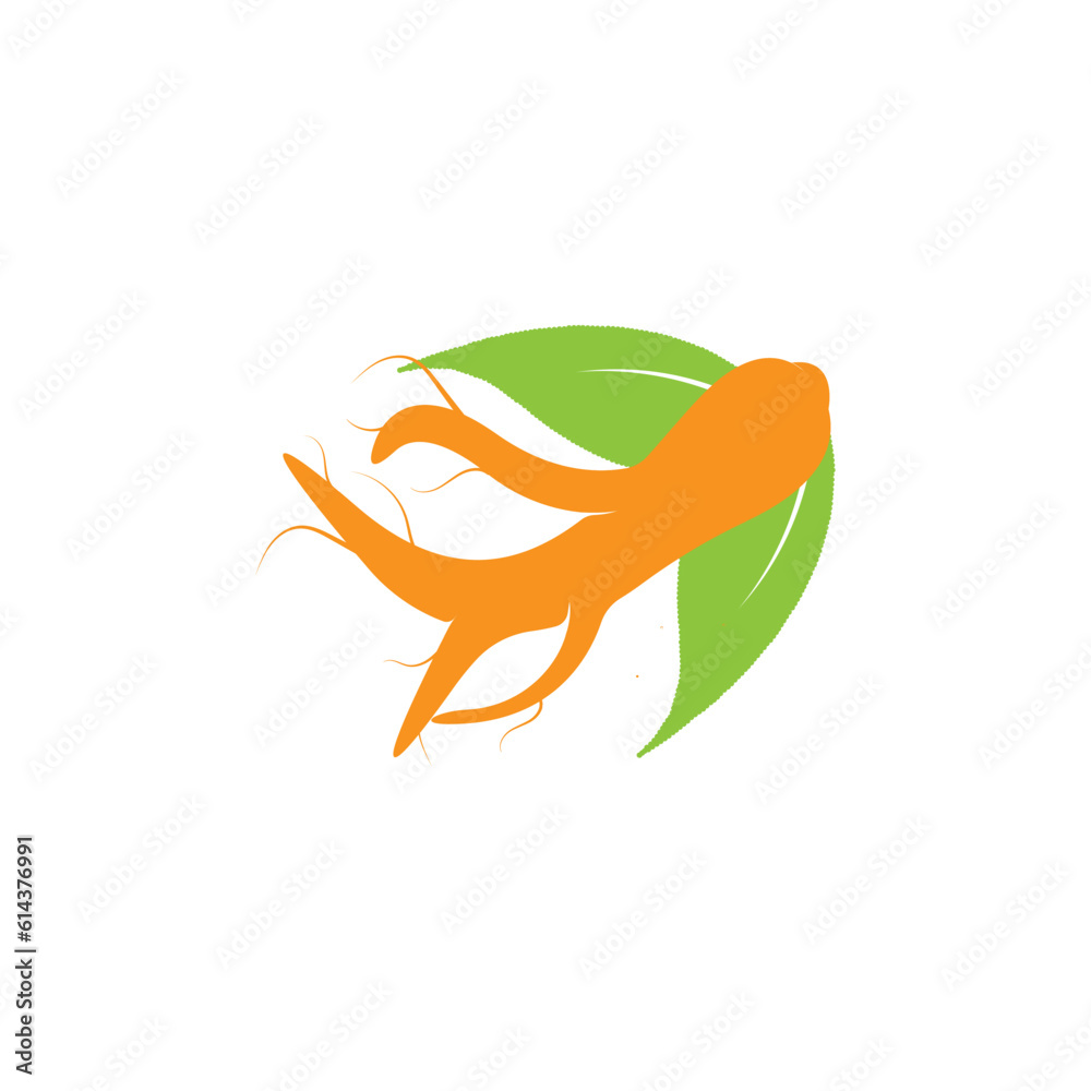 Ginseng. Vector illustration EPS10. Ginseng root and leaf on white background Ginseng. Vector illustration EPS10. Ginseng root and leaf on white background