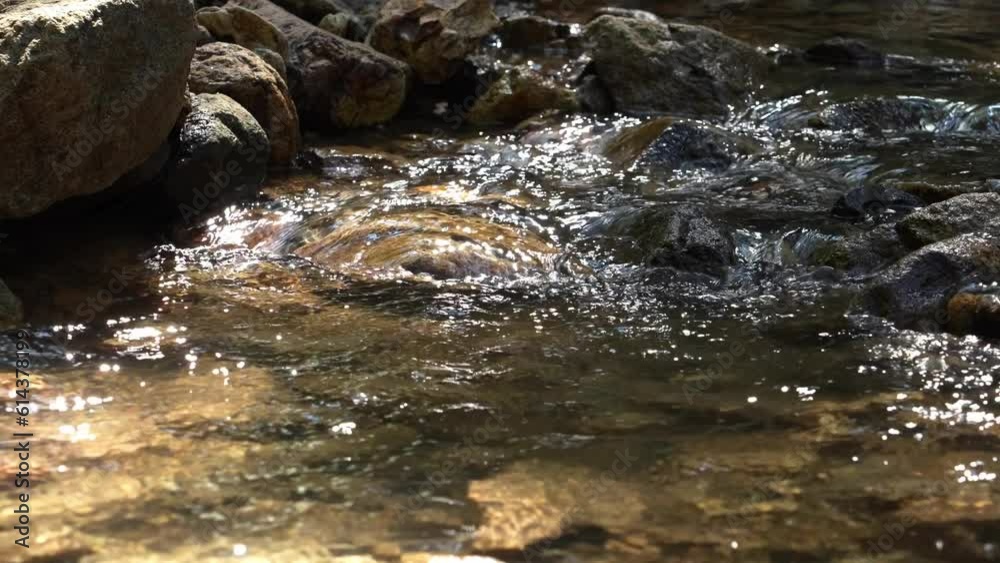 In the forest, natural crystal clear spring water and stream, sunshine In the forest, natural crystal clear spring water and stream, sunshine
