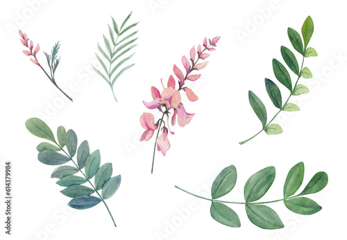 Hand drawn watercolor indigo plant flowers and leaves, coloring dye, for hobby, handmade fabric. Illustration isolated object on white background. Shop logo, print, website, business card, booklet
