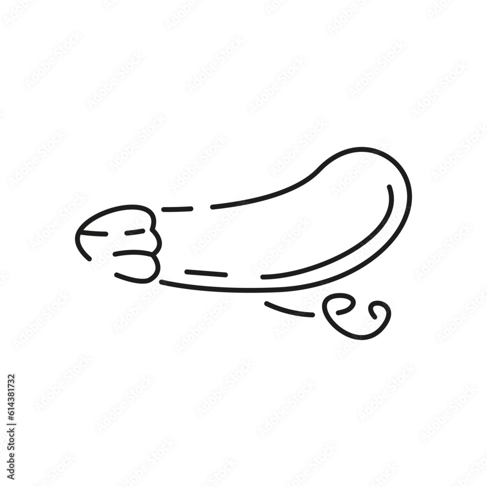 Vegetarian, vegetable, veggies - minimal thin line icon. Simple vector icon as tomato, cucumber, kohlrabi, cauliflower, pattypan squash, fiddleheads good food and health Vegetarian, vegetable, veggies - minimal thin line icon. Simple vector icon as tomato, cucumber, kohlrabi, cauliflower, pattypan squash, fiddleheads good food and health