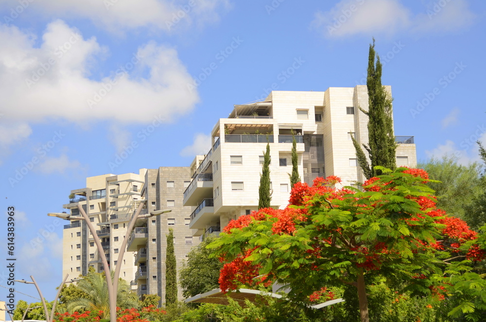 New buildings in Israel Concept: modern real estate. Multi-storey buildings and flowering trees. New buildings. Houses for families in Israel