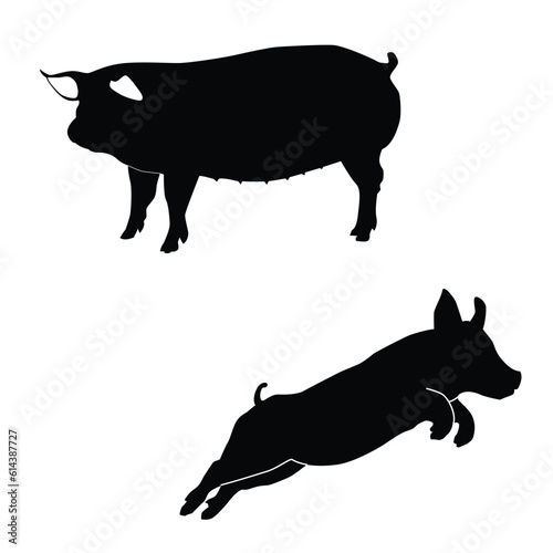 Pigs have been a part of human culture and agriculture for thousands of years. They are not only valued for their meat but also for other products derived from them, such as leather and lard. In some 