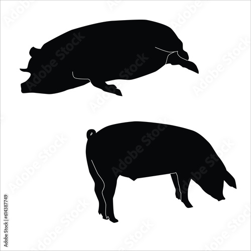 The pig is a domesticated mammal known for its stout body, short legs, and round, compact shape. It has a distinct snout, which is flexible and used for rooting and foraging. 