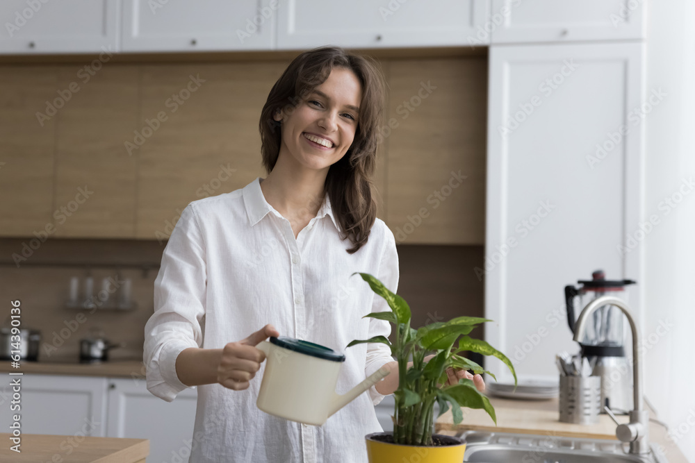 Young housewife holding can watering houseplant in pot, smile looking at camera, take care of green succulent house flower, standing in kitchen at home. Household chores, hobby, housework activity Young housewife holding can watering houseplant in pot, smile looking at camera, take care of green succulent house flower, standing in kitchen at home. Household chores, hobby, housework activity