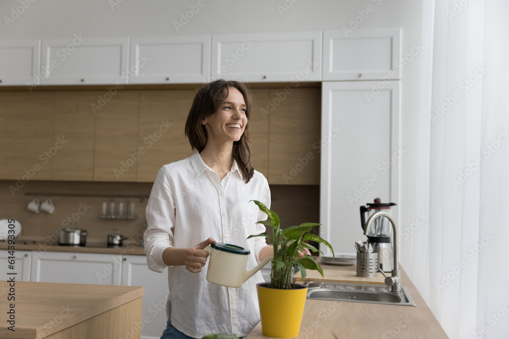 Dreamy happy woman watering succulent houseplant from cane, look aside. Female florist taking care of home plant in pot, enjoying house decoration activity in domestic kitchen. Housewife chores, hobby Dreamy happy woman watering succulent houseplant from cane, look aside. Female florist taking care of home plant in pot, enjoying house decoration activity in domestic kitchen. Housewife chores, hobby