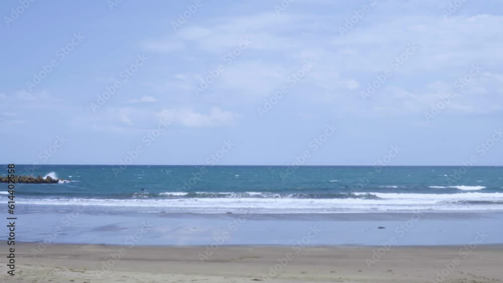 海 海