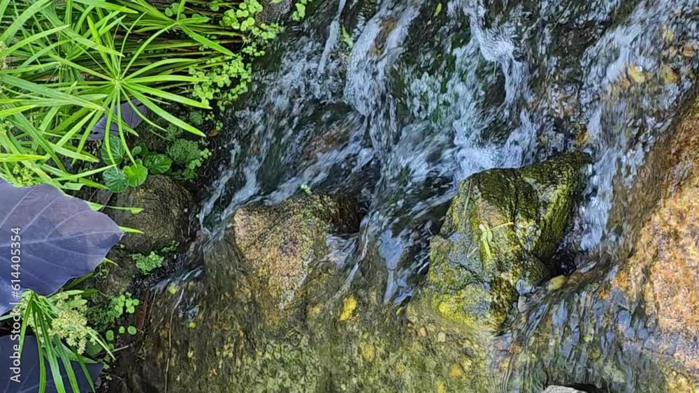 Waterfall, a beautiful waterfall in a small town in Brazil, natural light. Video vertical. Waterfall, a beautiful waterfall in a small town in Brazil, natural light. Video vertical.